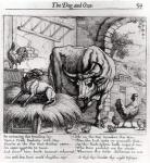 Illustration for 'The Dog and the Ox', from Aesop's Fables, 1666 (engraving) (b/w photo)