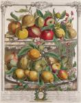 April, from 'Twelve Months of Fruits', by Robert Furber (c.1674-1756) engraved by J. Clark, 1732 (coloured engraving)