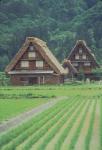 Shirakawa Village, Giju, Japan (photo)