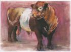 Zeus, Red Belted Galloway Bull, 2006 (mixed media on paper)