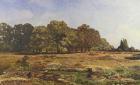 Avenue of Chestnut Trees at La Celle-Saint-Cloud, c.1866-67 (oil on canvas)
