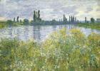 Banks of the Seine, Vetheuil, 1880 (oil on canvas)