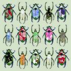 Beetledrive, 2008 (digital)