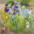 The Iris Bed, Bedfield, 1996 (oil on canvas)