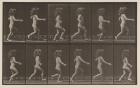 Plate Number 469. Child, running, 1887 (collotype)