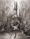 The Hare and The Frogs, from a late 19th century edition of 'Fables de La Fontaine' (wood engraving)