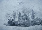 Pinetum, Cammo, 2015, (etching)