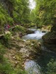 Visitors walking on wooden walkways which run the length of the Vintgar Gorge near Bled, Triglav, National Park, Upper Carniola, Slovenia (photo)