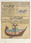 Ms E-7 fol.26b The Constellations of the Dog and the Keel, illustration from 'The Wonders of the Creation and the Curiosities of Existence' by Zakariya'ibn Muhammad al-Qazwini (gouache on paper)