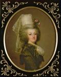 Archduchess Marie Antoinette Habsburg-Lothringen (1755-93), fifteenth child of Empress Maria Theresa of Austria (1717-80) and Francis I (1708-65), wife of Louis XVI (1754-93)