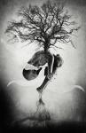 Tree of Life, 2013, (Giclée Print on Hahnemühle Fine Art Photo Rag)