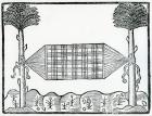 A Hammock from 'la Historia general de las Indias' 1547 (woodcut)