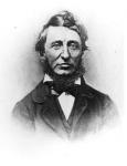 Henry Thoreau (1817-62) (b&w photo)