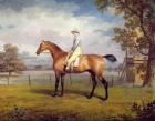 The Duke of Hamilton's Disguise with Jockey Up (oil on canvas)