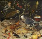 Still Life of Birds and Insects, 1637