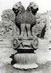 Lion capital from the Pillar of Emperor Ashoka, 273-236 BC (polished sandstone) (b/w photo)