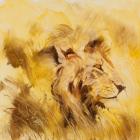 Lion, 2014 (oil on board)