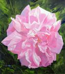 Victorian Rose (oil on board)