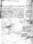 Fol.145v-a, page from Da Vinci's notebook (pen & ink on paper)