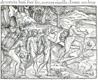Indian Natives Making Fire After Hunting, engraved by Theodor de Bry (1525-75) (engraving) (b/w photo)