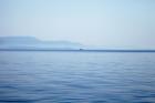 Tranquil Sea with Sail boat