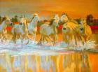 Camargue (oil on board)