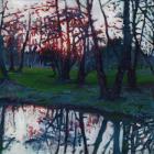 Last glow on the meadow, 2009, (oil on canvas)