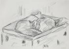 Cats Nestling, 2015 (pencil)