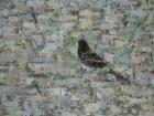 Blackbird in Tree (detail), 2012, oil on canvas