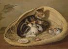 Cat with Her Kittens in a Basket, 1797 (oil on canvas)