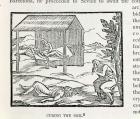 Curing the Sick, Natives of Hispaniola, from 'The Narrative and Critical History of America', edited by Justin Winsor, London, 1886 (woodcut)