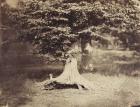 The Beech Tree, c.1855-7 (b/w photo)