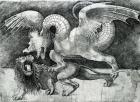 Dragon Fighting a Lion (engraving) (b/w photo)