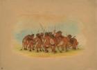 Mandan Buffalo Dance, 1861 (oil on card mounted on paperboard)