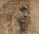 Head of an Angel, 1887 (charcoal & red crayon on paper)