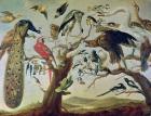 The Bird's Concert (oil on canvas)