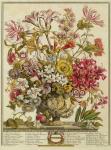 October, from 'Twelve Months of Flowers' by Robert Furber (c.1674-1756) engraved by Henry Fletcher (colour engraving)