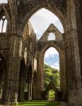 Tintern Abbey, Wales, United Kingdom (photo)