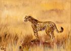 Cheetah in grass 1, 2013, (oil on canvas)