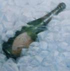 Champagne on ice, 2012 (acrylic on canvas)
