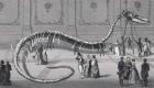 114 foot long Skeleton of Fake Sea Serpent 'Hydrarchos harlani', c.1845 (etching)