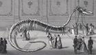 114 foot long Skeleton of Fake Sea Serpent 'Hydrarchos harlani', c.1845 (etching)