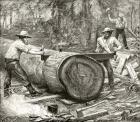 Splitters in the Bush, c.1880, from 'Australian Pictures' by Howard Willoughby, published by the Religious Tract Society, London, 1886 (litho)