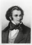 Portrait of Franz Schubert (1797-1828) engraved by H. Roemer (engraving) (b/w photo)