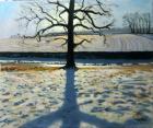 Tree and Shadow, Calke Abbey, Derbyshire (oil on canvas)