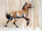 Young Stallion (Przewalski), 2014, (pastel and charcoal on paper)