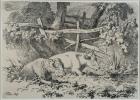 Cattle Resting, 1807 (pen & ink on paper)