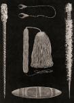 Objects important in Australian Aborigine ceremonies: two types of magical pointing-bones or sticks; an ornament of eaglehawk's claws, worn round the neck; a neckband and tassel; a Churinga or Tjurunga. After a 19th century photograph. From Customs of The