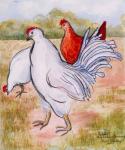 Ralphy,The Cockerel ,2005,(pencil and water colour)