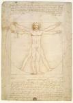 The Proportions of the human figure (after Vitruvius), c.1492 (pen & ink on paper)